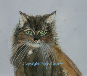 Completed portrait of Annie Cat